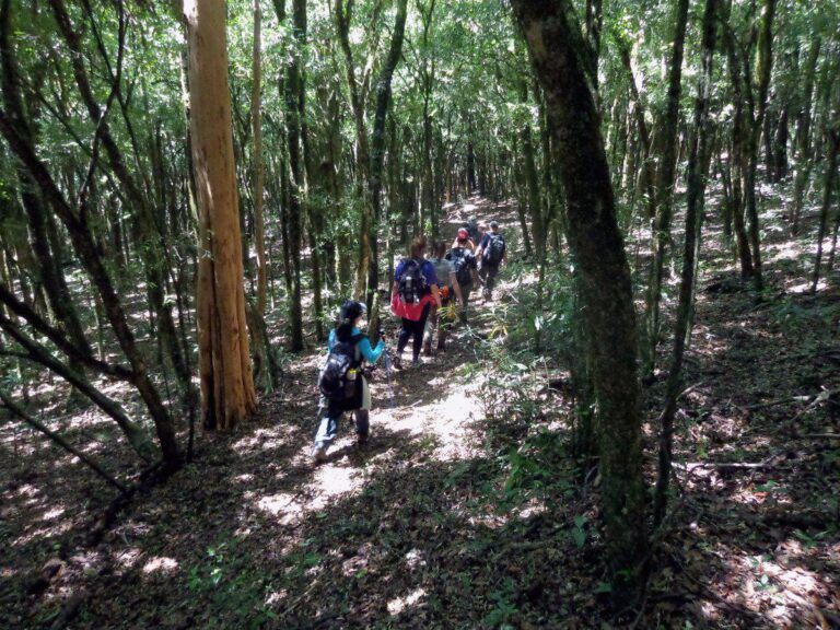 Trilhas das Práticas Sustentáveis apresenta as estações ecológicas do Bosque Maia