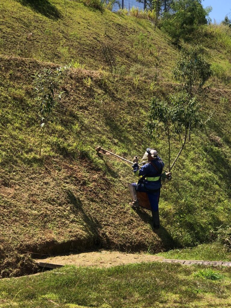 Prefeitura atende mais de 8 mil pedidos de zeladoria no primeiro trimestre