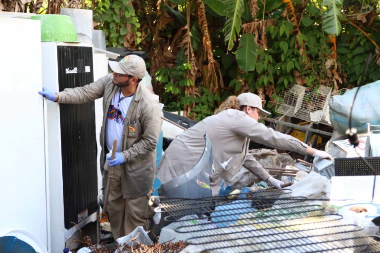 Combate ao Aedes aegypti inclui ações em 35 bairros nesta semana
