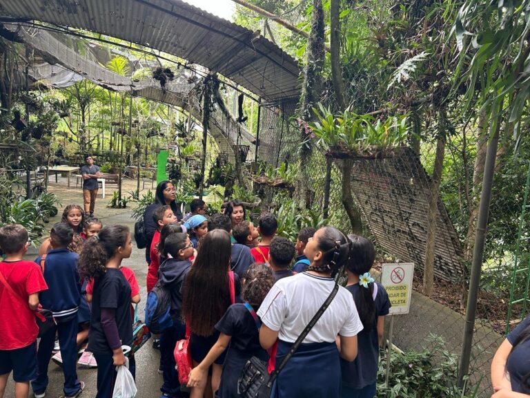 Agenda ambiental de agosto em Guarulhos inclui abelhas, orquídeas, arborização e práticas sustentáveis