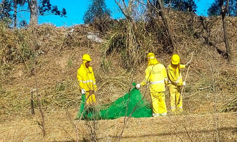 Prefeitura mobiliza equipes de roçagem no Jardim São João, Jardim Santos Dumont e Jardim Munira