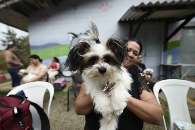 Castra Pet Móvel atende região do Parque Jurema na próxima semana