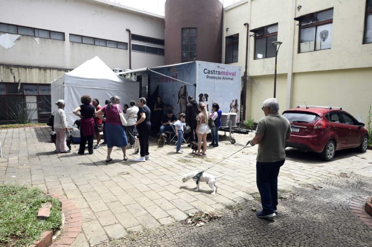 CastraPet Móvel atende 330 cães e gatos nesta semana na região Central