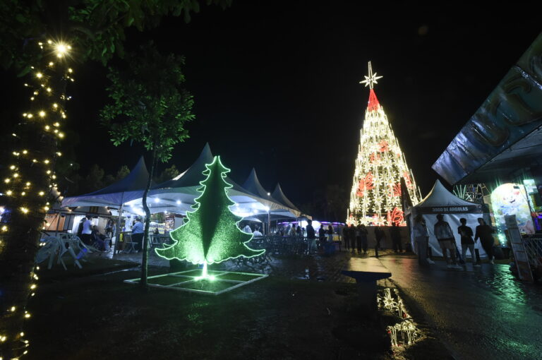 Natal no Bosque Maia terá duas árvores gigantes e a maior Casa do Papai Noel da história