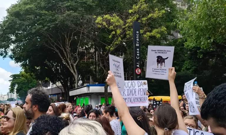 Centenas de pessoas em São Paulo pedem justiça pelo cão Orelha
