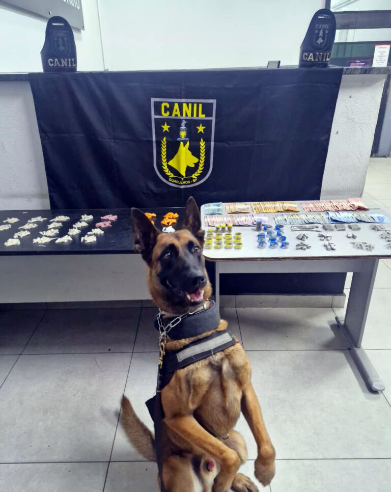 GCM de Guarulhos prende três traficantes e apreende 3,6 kg de drogas em ações contra o tráfico