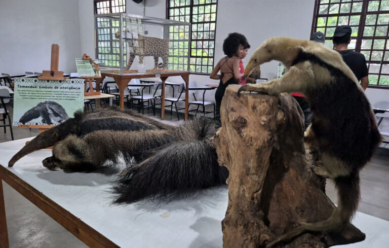 Zoológico e Bosque Maia divulgam agendas ambientais de abril com participação gratuita