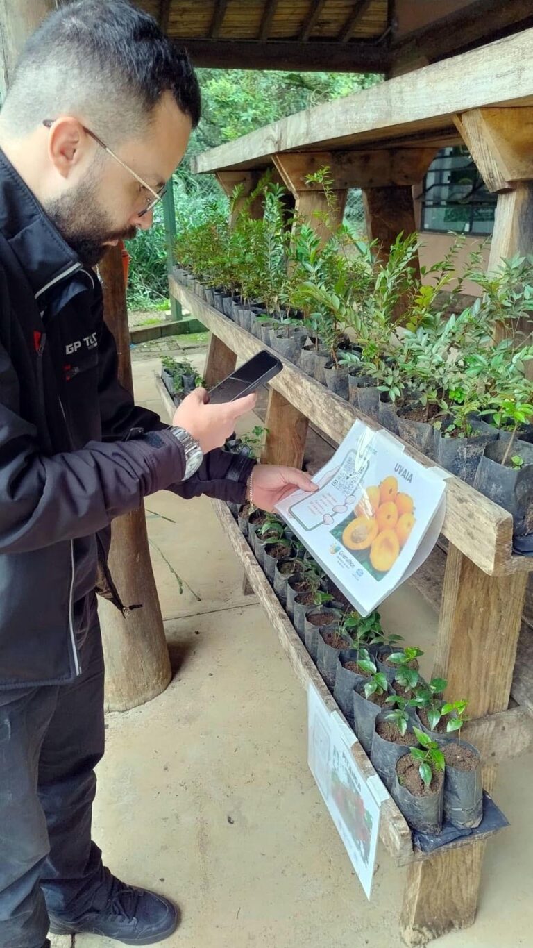 Prefeitura distribui árvores frutíferas e outras espécies gratuitamente no Zoo e no CEA Virgínia Ranali