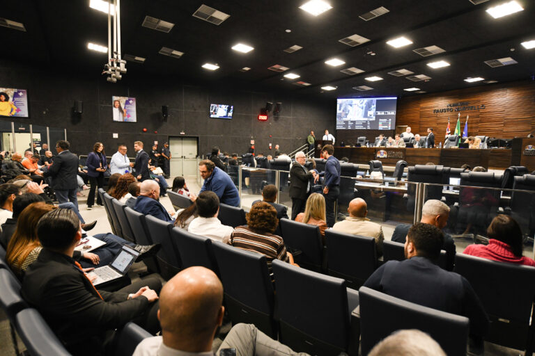 Vereadores votam projeto que beneficia mães atípicas   Criação de frente parlamentar sobre o tema foi proposto pela Comissão de Defesa dos Direitos da Mulher da Câmara 