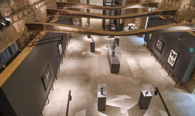 Museu Nacional celebra 208 anos com exposições inéditas e avanços na reconstrução