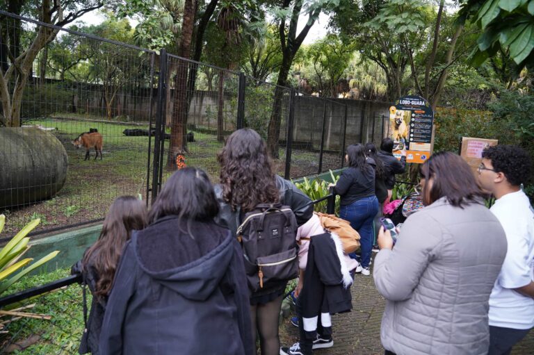 Zoológico Municipal antecipa fechamento no domingo em razão do jogo do Brasil